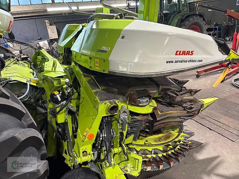 Schneidwerk typu CLAAS Orbis 750 Aktuelles Modell Maisgebiss zu Claas Jaguar 10 Reihen, Gebrauchtmaschine v Prüm-Dausfeld (Obrázek 1)