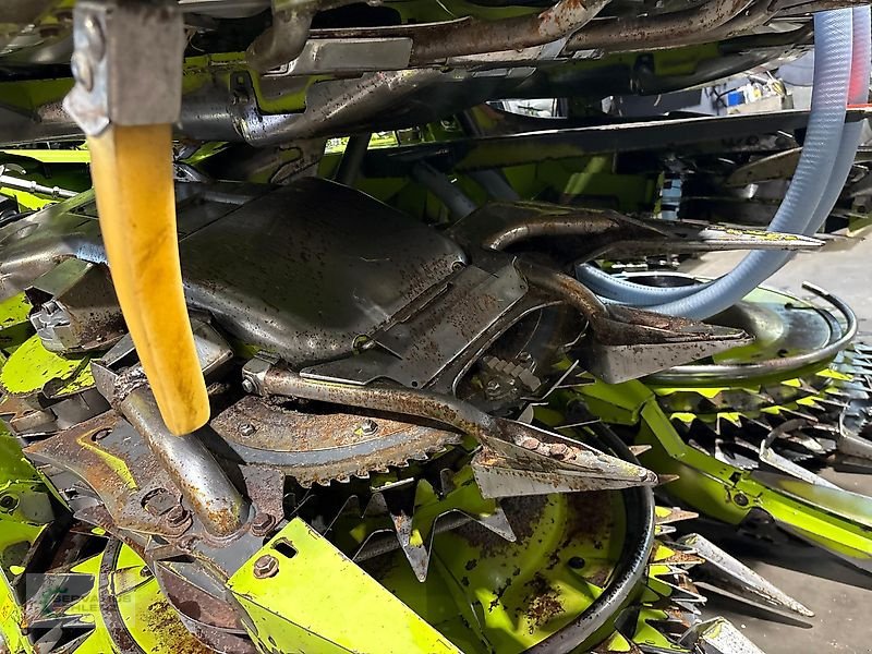 Schneidwerk typu CLAAS Orbis 750 Aktuelles Modell Maisgebiss zu Claas Jaguar 10 Reihen, Gebrauchtmaschine v Prüm-Dausfeld (Obrázek 11)