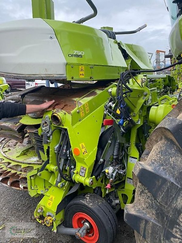 Schneidwerk typu CLAAS Orbis 750 I63, Gebrauchtmaschine v Prüm-Dausfeld (Obrázek 2)