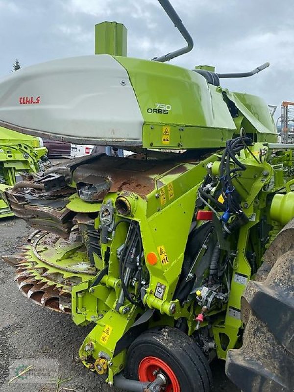 Schneidwerk typu CLAAS Orbis 750 I63, Gebrauchtmaschine v Prüm-Dausfeld (Obrázek 5)