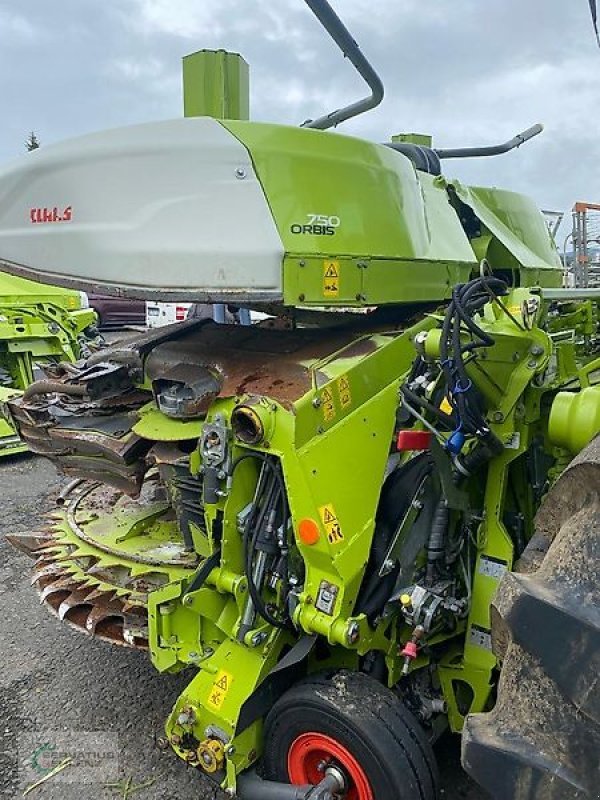 Schneidwerk typu CLAAS Orbis 750 I63, Gebrauchtmaschine v Prüm-Dausfeld (Obrázek 3)