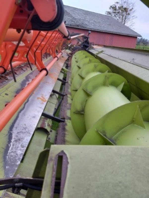 Schneidwerk des Typs CLAAS V1230, Gebrauchtmaschine in Hemmet (Bild 9)