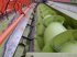 Schneidwerk des Typs CLAAS V1230, Gebrauchtmaschine in Hemmet (Bild 9)
