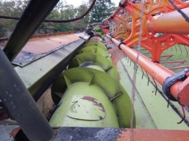 Schneidwerk des Typs CLAAS V1230, Gebrauchtmaschine in Hemmet (Bild 4)
