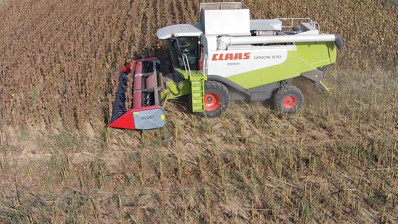 Schneidwerk a típus Dominoni Free Sun 6,20 -, Neumaschine ekkor: Baumgarten (Kép 4)