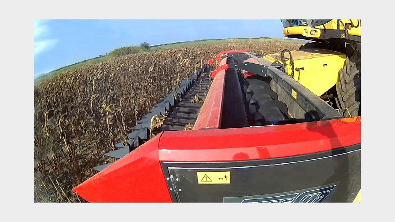 Schneidwerk des Typs Dominoni Free Sun 6,20 -, Neumaschine in Baumgarten (Bild 5)