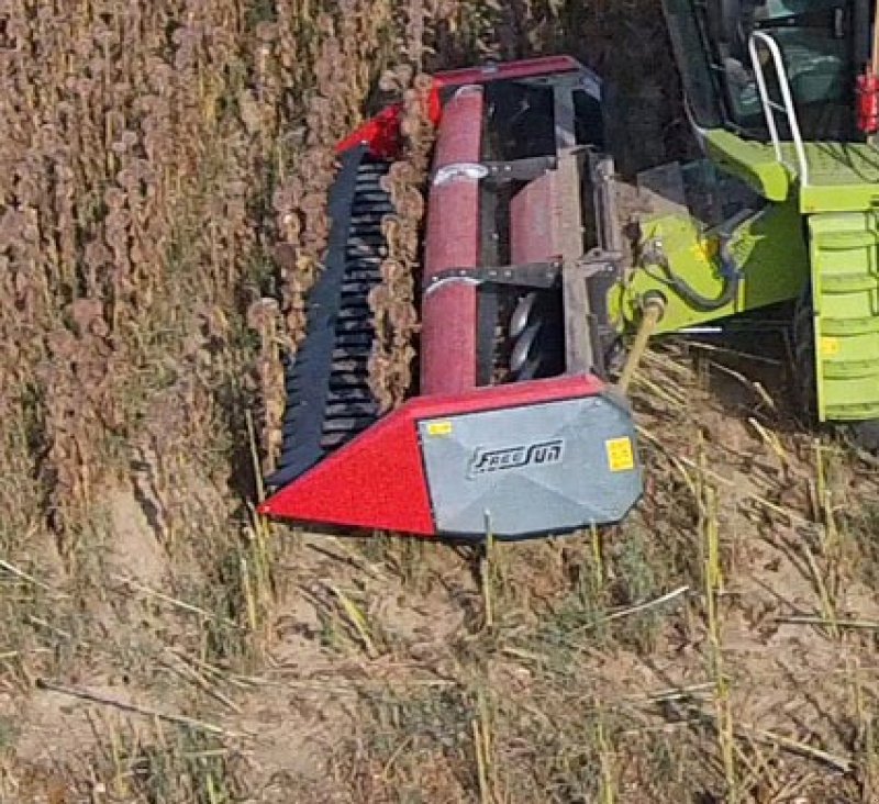 Schneidwerk des Typs Dominoni Free Sun 6,20 -, Neumaschine in Baumgarten (Bild 1)