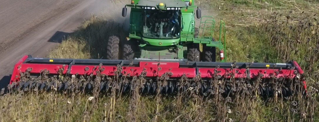 Schneidwerk des Typs Dominoni Free Sun 6,20 -, Neumaschine in Baumgarten (Bild 3)