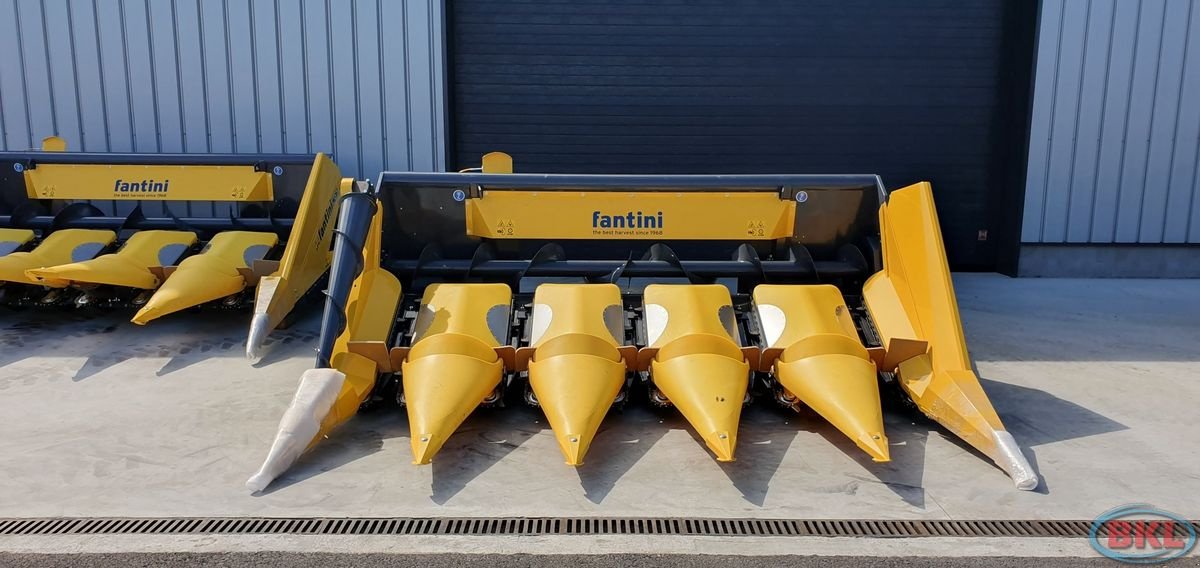 Schneidwerk des Typs Fantini LO 4 Maispflücker, Neumaschine in Rovisce (Bild 1)