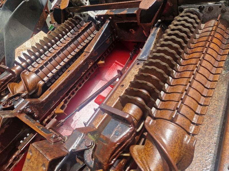 Schneidwerk του τύπου Geringhoff HS 800 / FB, Gebrauchtmaschine σε Obritzberg (Φωτογραφία 10)