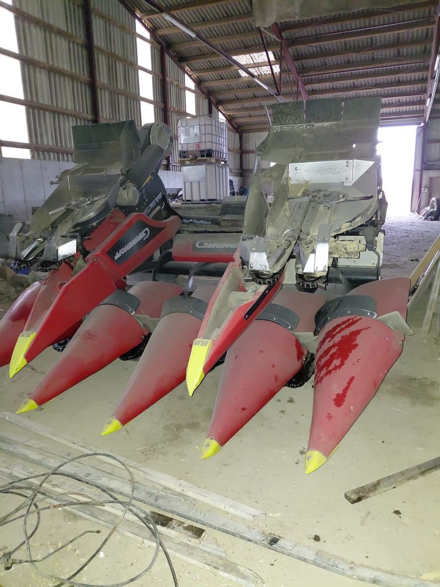 Schneidwerk of the type Geringhoff MSH 6-75, Gebrauchtmaschine in Grund (Picture 3)