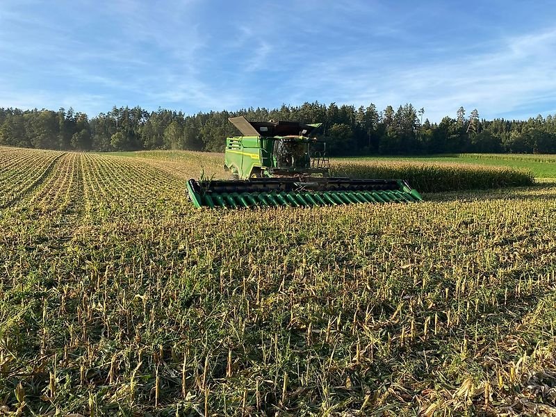 Schneidwerk des Typs Geringhoff RD24 50, Gebrauchtmaschine in Dingolfing (Bild 1)