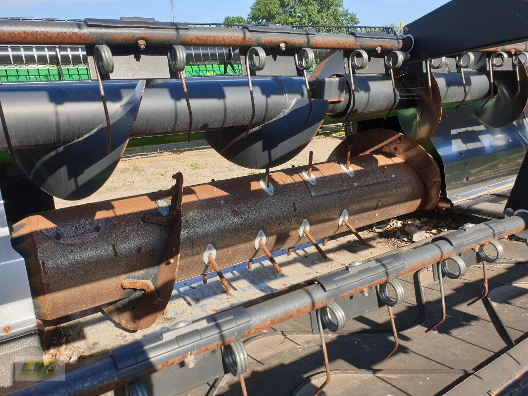 Schneidwerk typu Geringhoff TriFlex TF40, Gebrauchtmaschine v Schenkenberg (Obrázek 20)