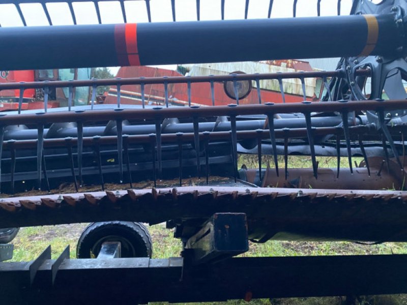 Schneidwerk typu MacDon D60, Gebrauchtmaschine v Hemmet (Obrázek 18)