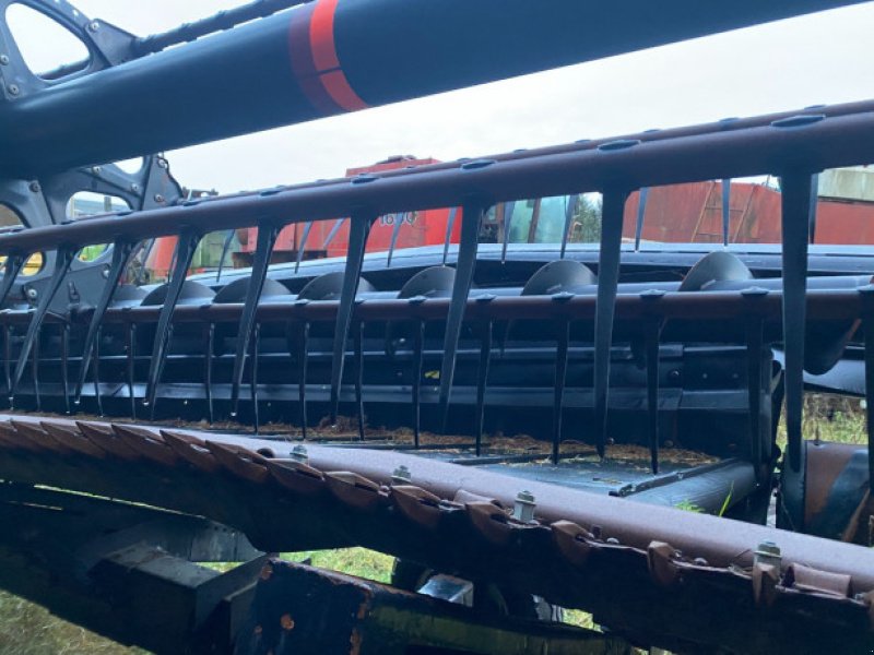 Schneidwerk typu MacDon D60, Gebrauchtmaschine v Hemmet (Obrázek 19)