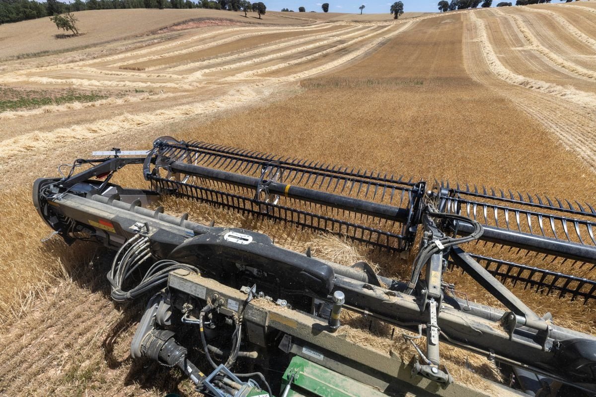 Schneidwerk des Typs MacDon FD230 9,1m, Neumaschine in Harmannsdorf (Bild 4)