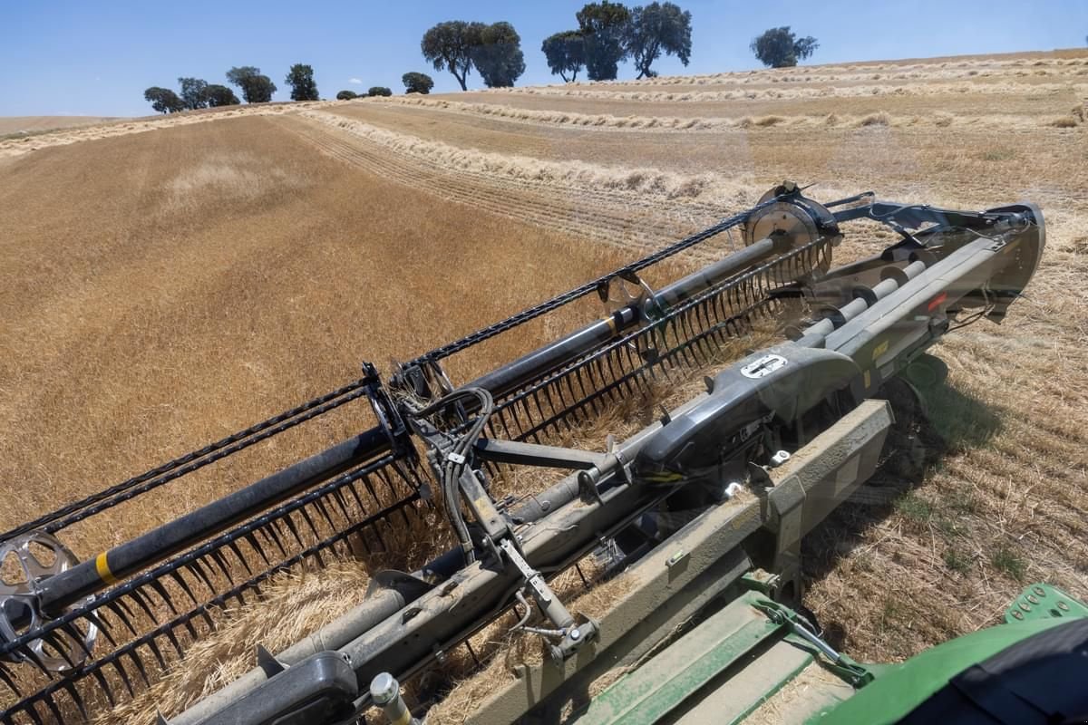 Schneidwerk des Typs MacDon FD230 9,1m, Neumaschine in Harmannsdorf (Bild 2)