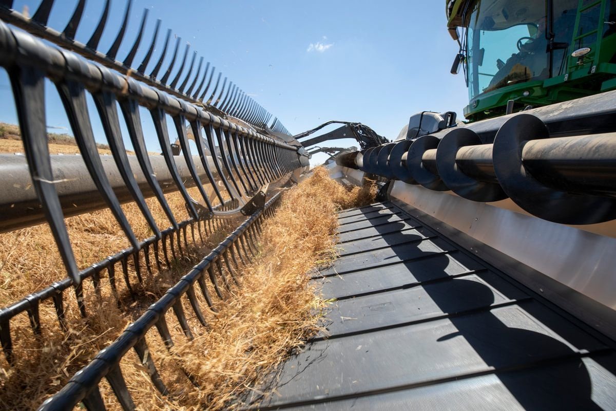 Schneidwerk des Typs MacDon FD230 9,1m, Neumaschine in Harmannsdorf (Bild 14)