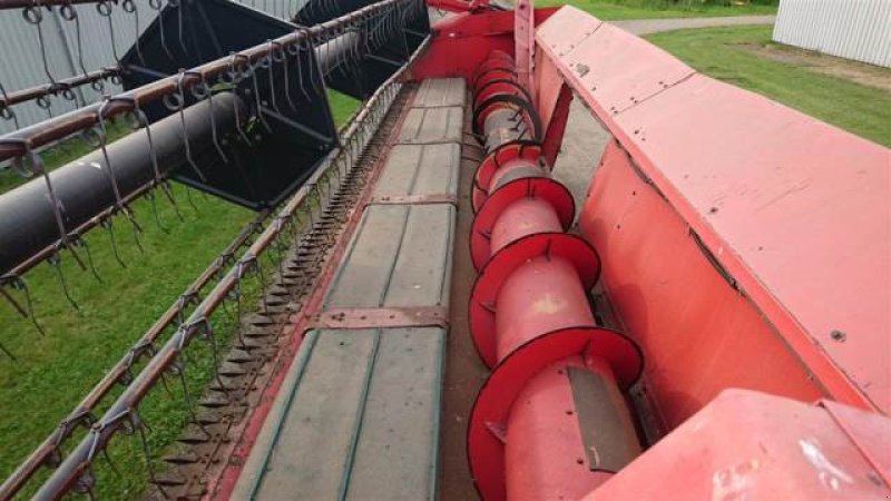 Schneidwerk of the type Massey Ferguson 22" Powerflow, Gebrauchtmaschine in Hemmet (Picture 8)