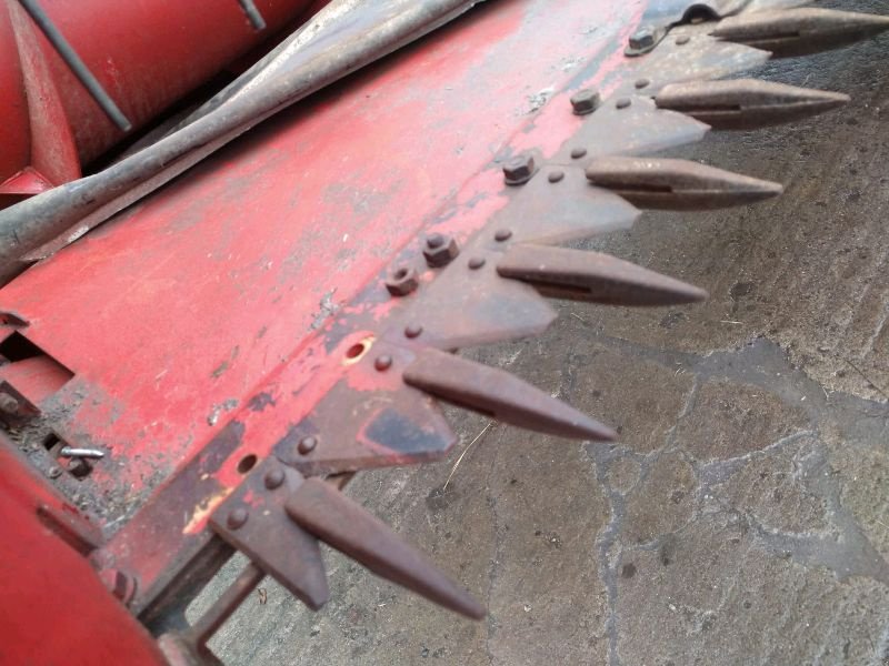 Schneidwerk tipa Massey Ferguson Power Flow 5,4m, Gebrauchtmaschine u Liebenwalde (Slika 4)