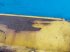 Schneidwerk des Typs New Holland Falihd, Gebrauchtmaschine in Hemmet (Bild 16)
