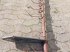 Schneidwerk tipa New Holland TF46, Gebrauchtmaschine u Hemmet (Slika 7)