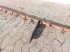 Schneidwerk tipa New Holland TF46, Gebrauchtmaschine u Hemmet (Slika 7)