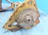 Schneidwerk typu New Holland TX65, Gebrauchtmaschine v Hemmet (Obrázek 3)