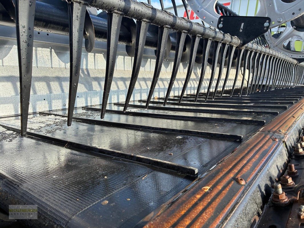Schneidwerk del tipo Sonstige MacDon FD 241 Flexdraper - Adapter Claas, Gebrauchtmaschine en Mühlengeez (Imagen 15)