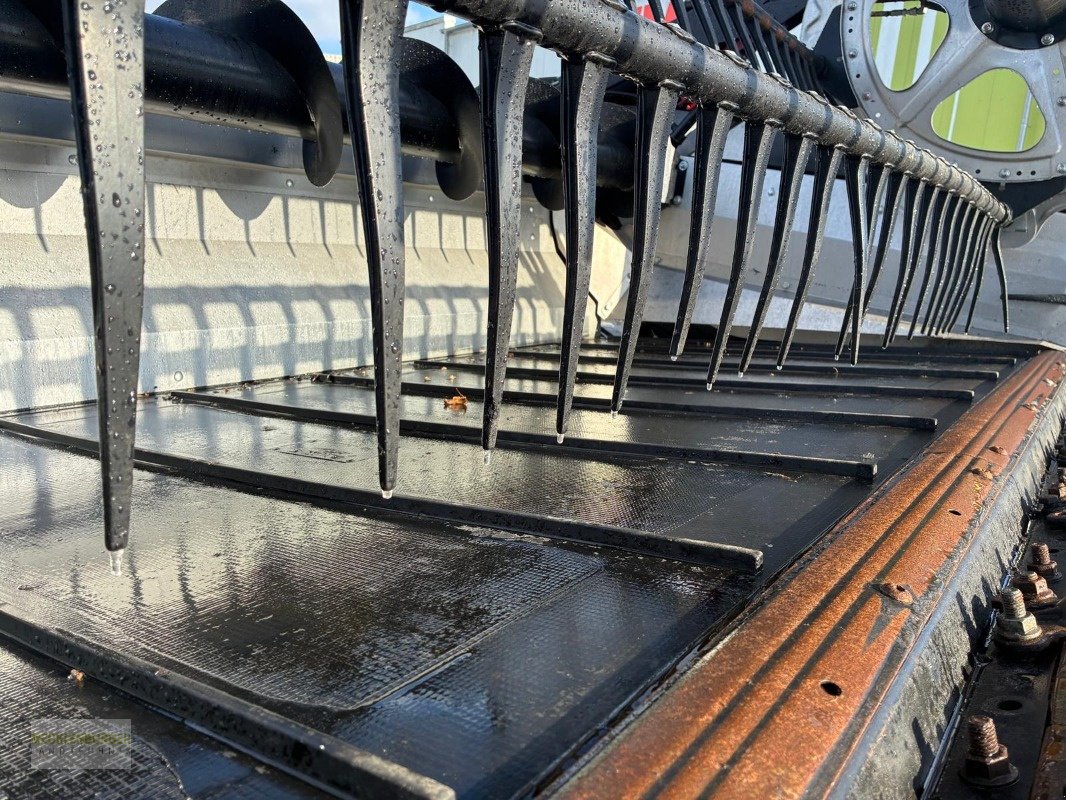 Schneidwerk del tipo Sonstige MacDon FD 241 Flexdraper - Adapter Claas, Gebrauchtmaschine en Mühlengeez (Imagen 16)