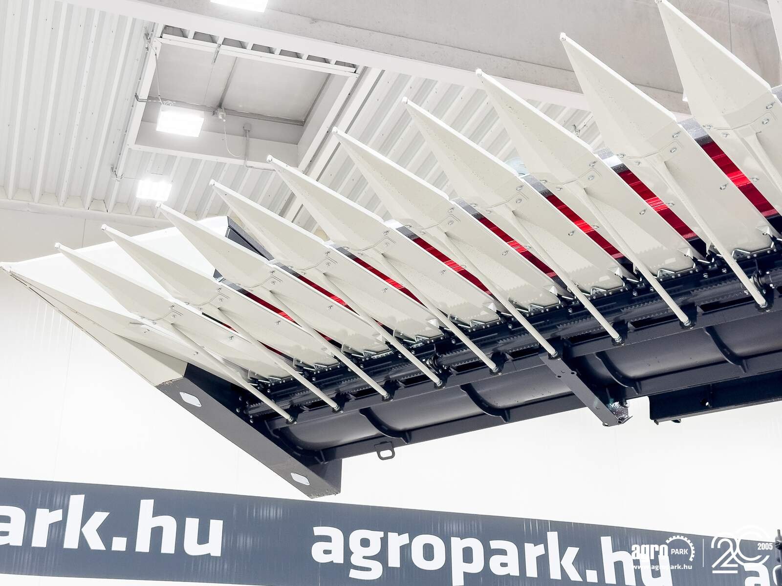 Schneidwerk des Typs SunSeed Alpha 600, Gebrauchtmaschine in Csengele (Bild 15)