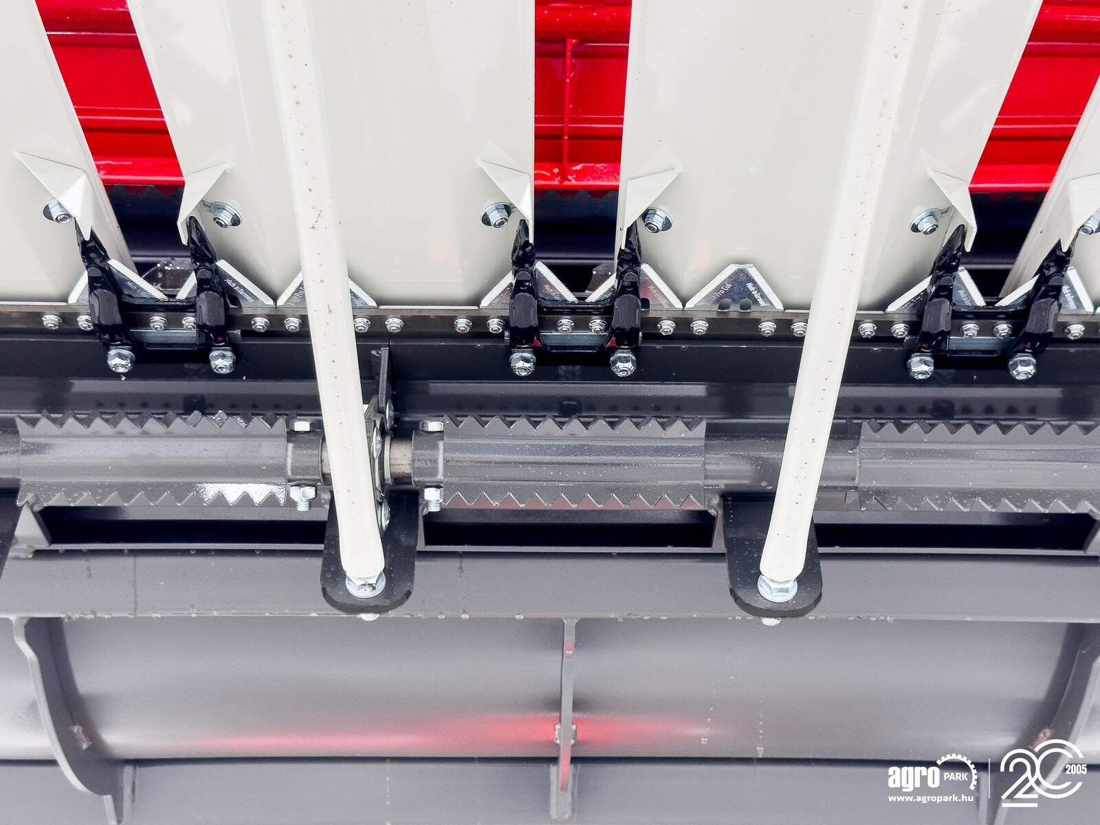 Schneidwerk des Typs SunSeed Alpha 600, Gebrauchtmaschine in Csengele (Bild 19)