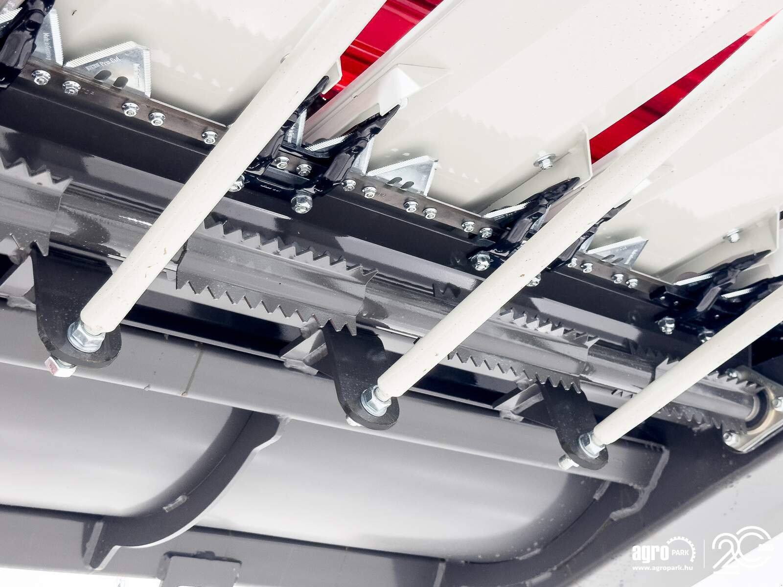 Schneidwerk des Typs SunSeed Alpha 600, Gebrauchtmaschine in Csengele (Bild 20)