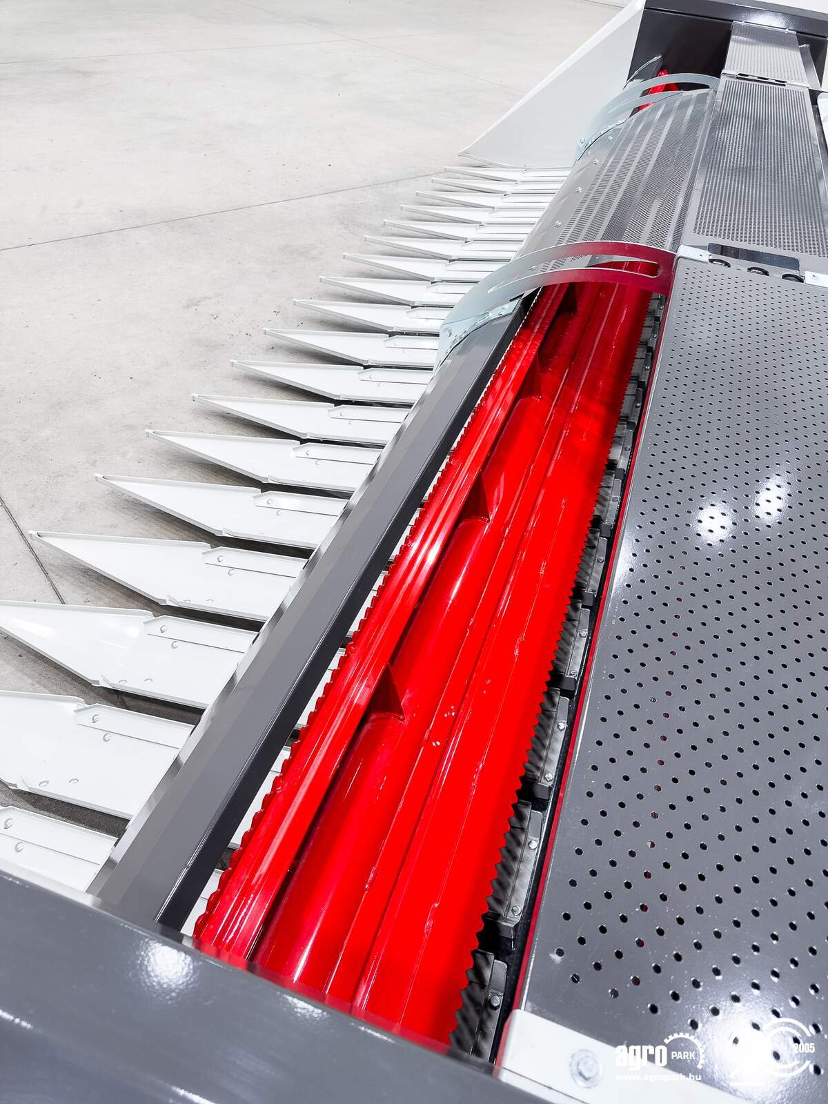 Schneidwerk des Typs SunSeed Alpha 600, Gebrauchtmaschine in Csengele (Bild 27)