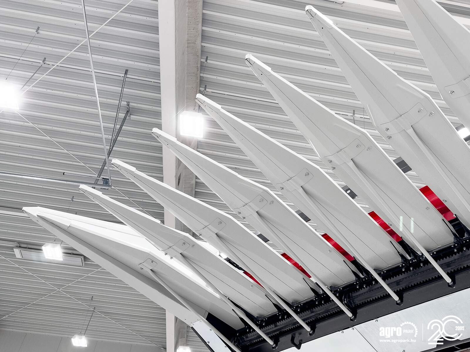 Schneidwerk typu SunSeed Xtra 6-75, Gebrauchtmaschine v Csengele (Obrázek 15)