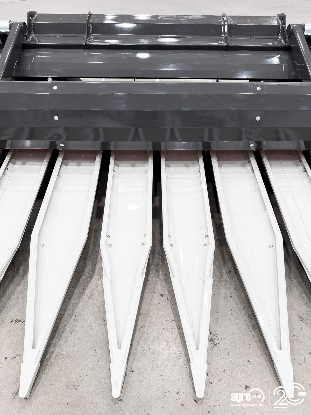 Schneidwerk des Typs SunSeed Xtra 6-75, Gebrauchtmaschine in Csengele (Bild 11)