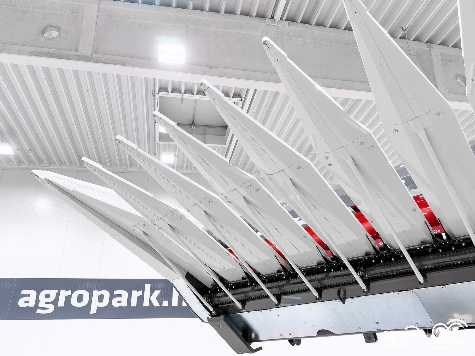 Schneidwerk typu SunSeed Xtra 8-75, Gebrauchtmaschine v Csengele (Obrázek 13)