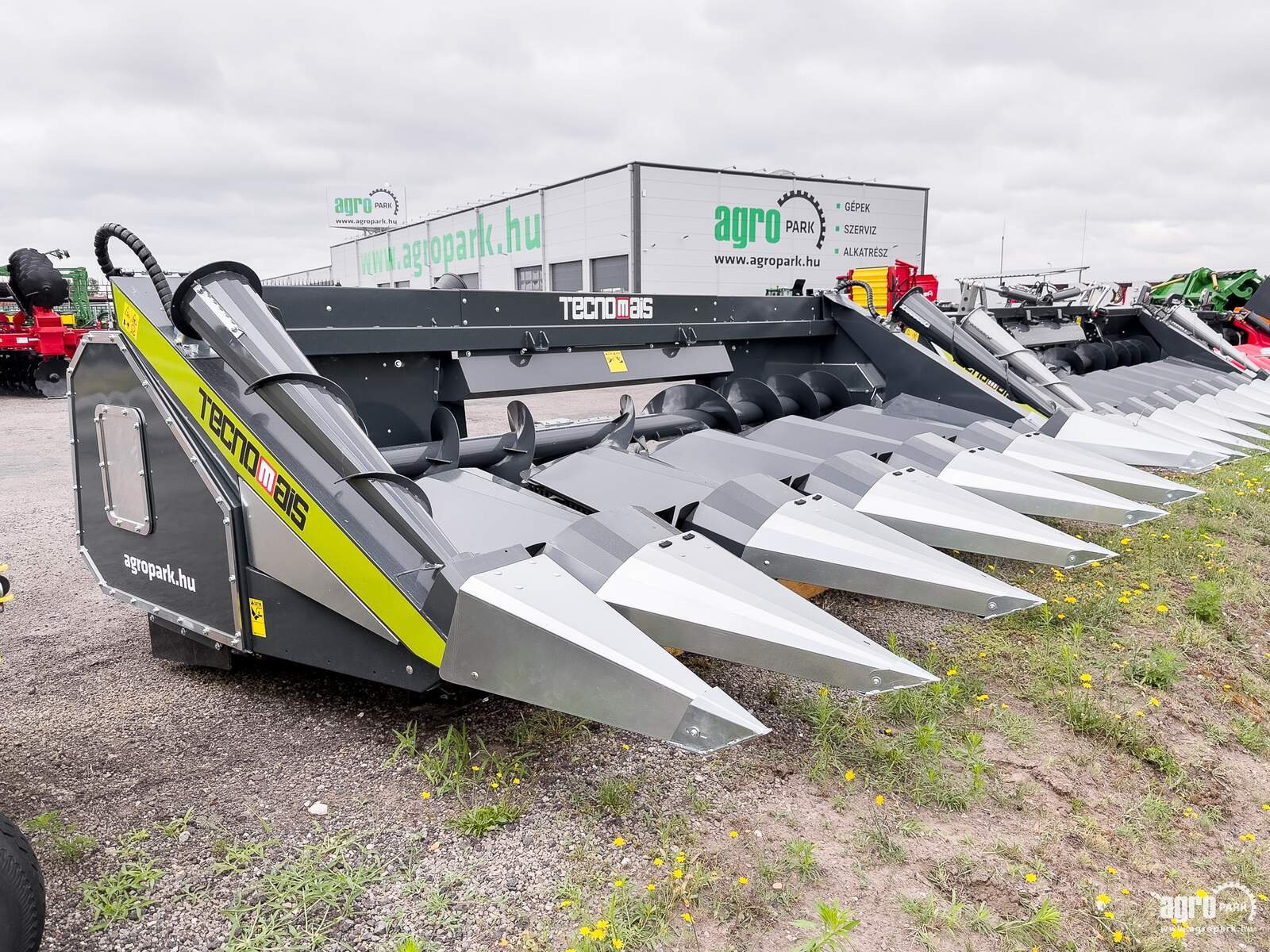 Schneidwerk typu Tecnomais TM3 UNUSED 6 row (75 cm), rigid corn header (Claas), Gebrauchtmaschine w Csengele (Zdjęcie 2)