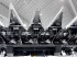 Schneidwerk typu Tecnomais TMRP4 6R-F 6 row (75 cm), foldable corn header, for Case IH and New Holland combines, Gebrauchtmaschine v Csengele (Obrázek 15)