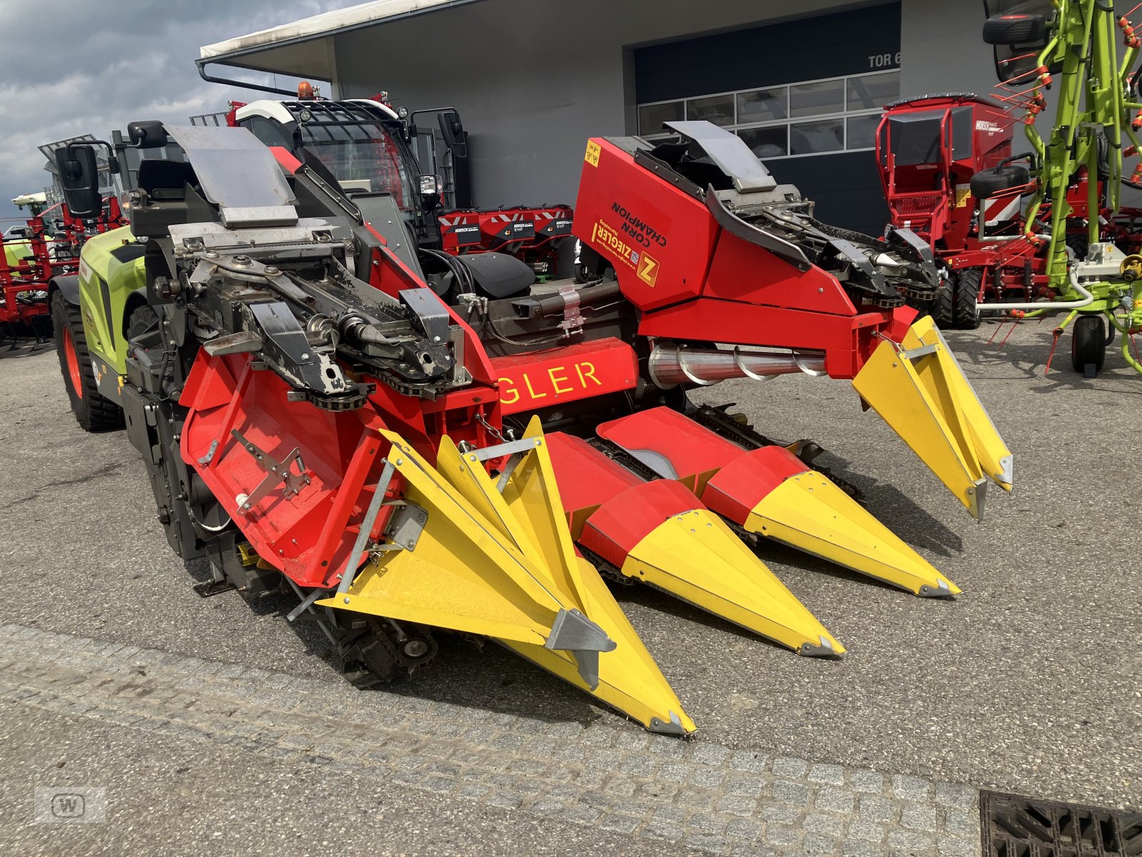 Schneidwerk typu Ziegler Corn Champion 6/70, Gebrauchtmaschine v Zell an der Pram (Obrázek 3)