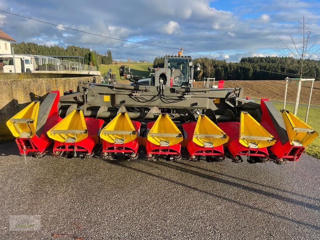 Schneidwerk typu Ziegler Corn Champion 6/70, Gebrauchtmaschine v Bad Leonfelden (Obrázek 3)