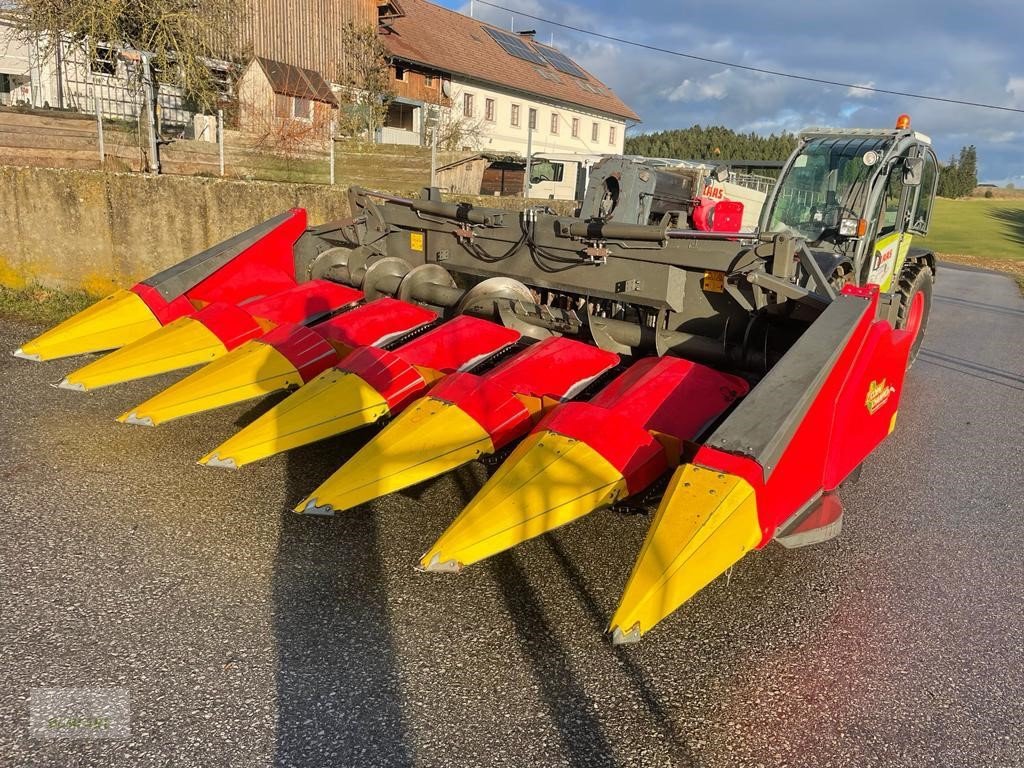 Schneidwerk typu Ziegler Corn Champion 6/70, Gebrauchtmaschine v Bad Leonfelden (Obrázek 7)