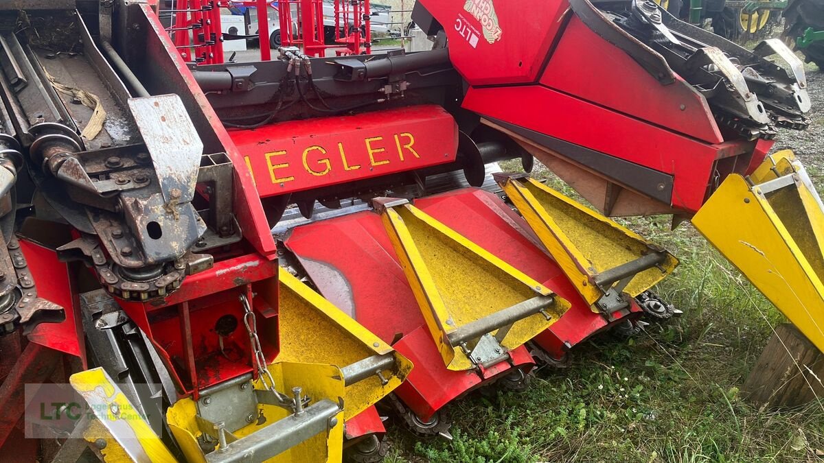 Schneidwerk des Typs Ziegler Corn Champion, Gebrauchtmaschine in Korneuburg (Bild 5)