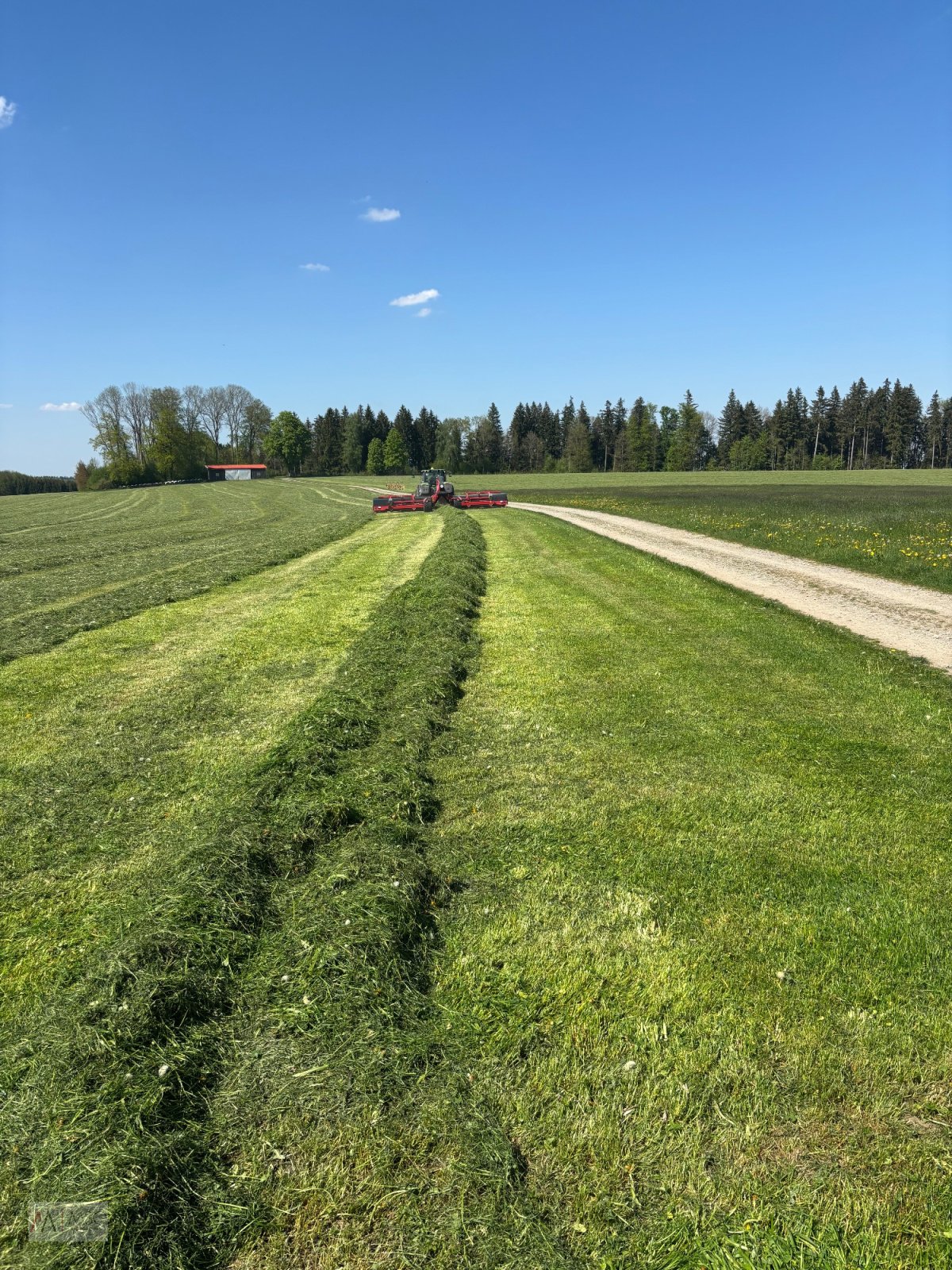 Schwader Türe ait Anderson MergePro 915 Bandschwader, Neumaschine içinde Berumerfehn (resim 3)