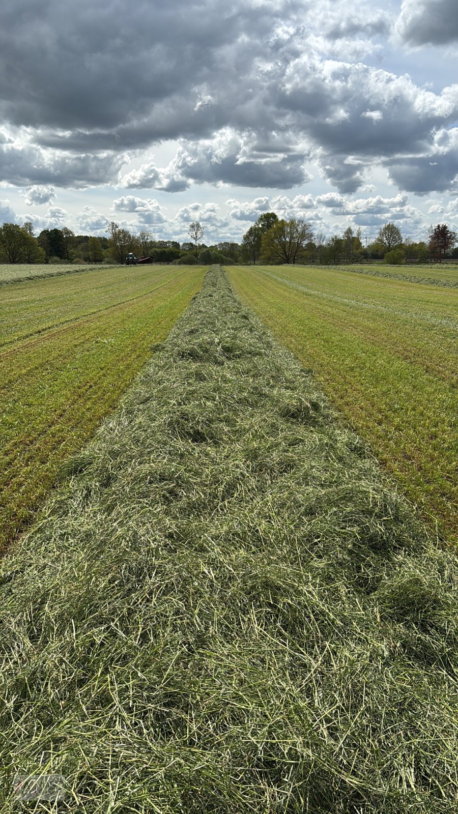 Schwader Türe ait Anderson MergePro 915 Bandschwader, Neumaschine içinde Berumerfehn (resim 4)