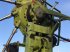 Schwader des Typs CLAAS GEBR. SCHWADER LINER 3000, Gebrauchtmaschine in Grimma (Bild 12)