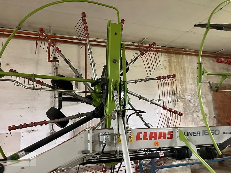 Schwader del tipo CLAAS Liner 1650 Twin, Gebrauchtmaschine en Salsitz (Imagen 2)