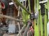 Schwader des Typs CLAAS LINER 2900 BUSINESS, Gebrauchtmaschine in ORLEIX (Bild 10)
