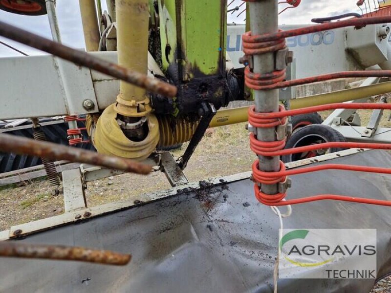 Schwader Türe ait CLAAS LINER 3000, Gebrauchtmaschine içinde Grimma (resim 5)