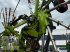 Schwader от тип CLAAS Liner 3600, Gebrauchtmaschine в Liebenwalde (Снимка 21)